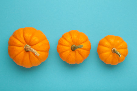 Mini orange pumpkins on blue background. Top viewの写真素材