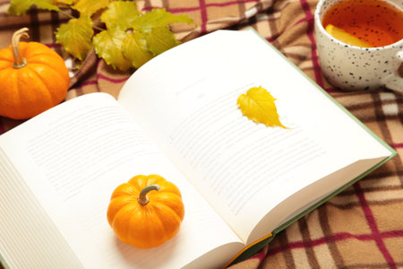 Hello autumn. Pumpkin, cup of tea, autumn leaves, book on plaid. Happy Thanksgiving. Top viewの写真素材