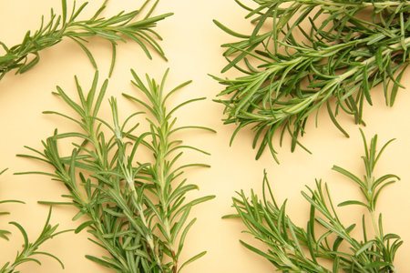 Fresh rosemary bunch on beige background. Top viewの写真素材