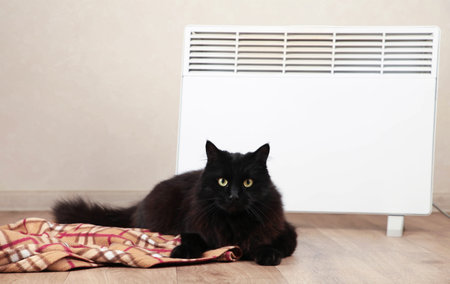 Cute black cat near electric heater at home. Top viewの写真素材