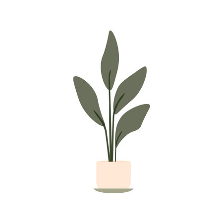 Potted green plant with large leaves on a white background. Top viewのイラスト素材