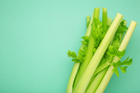 Fresh celery on mint background. Space for text. Top viewの写真素材