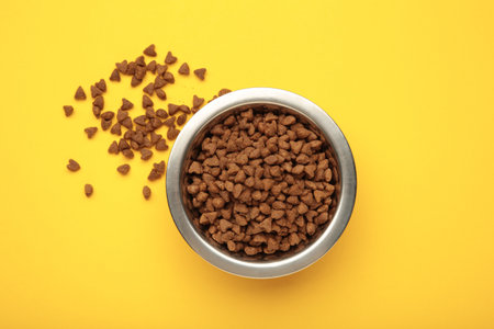 Dog or cat food in a silver bowl on yellow background. Top viewの写真素材