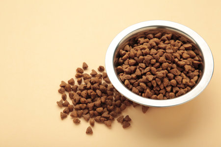 Dog or cat food in a silver bowl on beige background. Top view