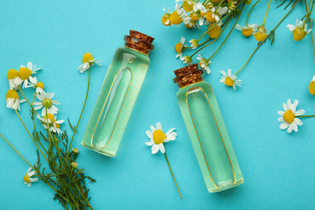 Bottles of essential oil and chamomile flowers on blue background. Top viewの写真素材
