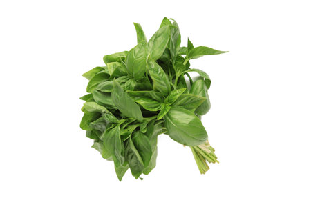 Sweet basil herb leaves bunch isolated on white background. top viewの写真素材
