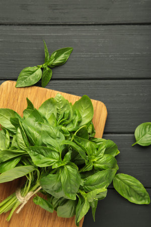 Green basil herb on cutting board on black background. Top view