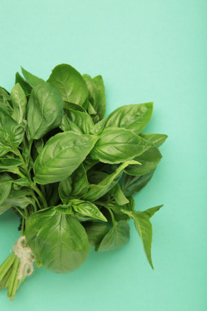 Raw green organic basil leaves on mint background. Vertical photoの写真素材