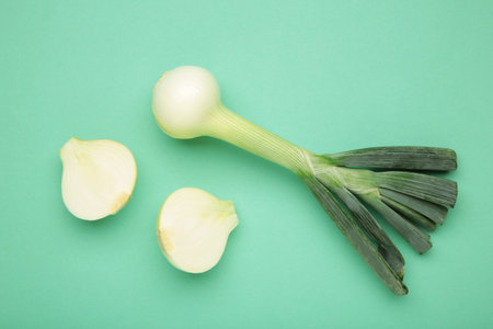 Green onion on mint background. Top viewの写真素材