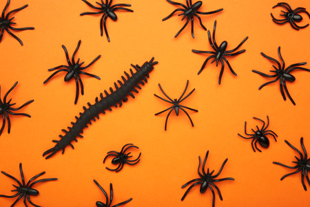 Halloween background with spiders as symbols of Halloween on orange background. Top view