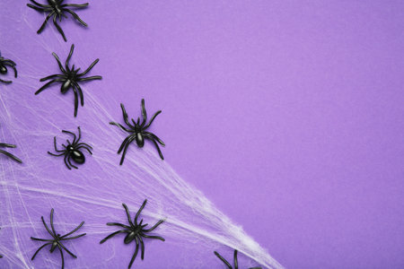 Halloween background with spider web and spiders as symbols of Halloween on violet background. Happy...