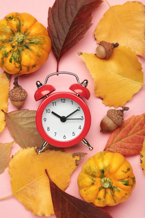 Red alarm clock, acorns and autumn leaves on pink background. Daylight saving time end. Top viewの写真素材