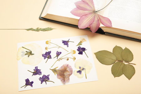 Pressed and dried flowers with twine on beige background.の写真素材