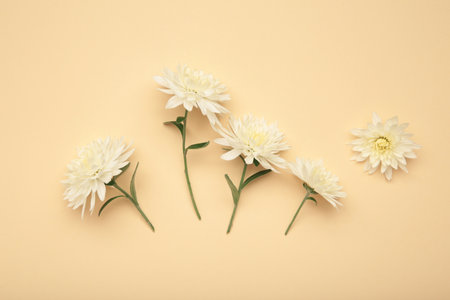 Flowers on beige background. Autumn concept. Top viewの写真素材