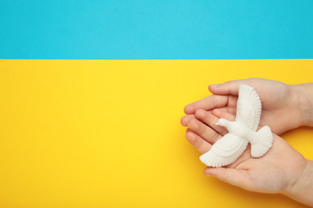 Child hands with dove on yellow blue background. International Day of Peace. Top view.の写真素材