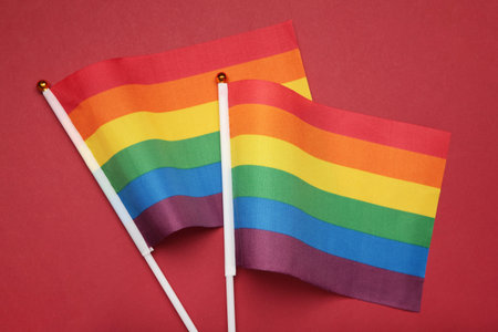 LGBT rainbow flag flat lay on red background. Human rights, gay marriage, june parade, lgbtq proud...