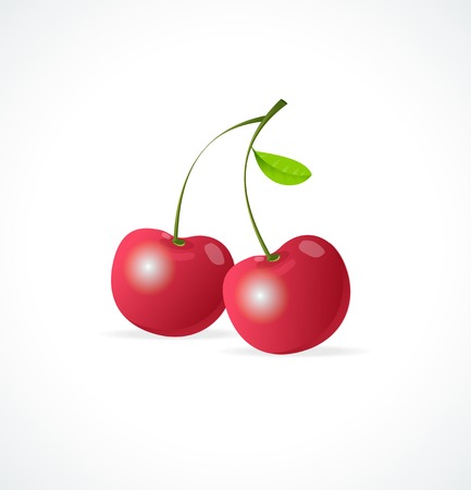 Vector Ripe red cherry berries on whiteのイラスト素材