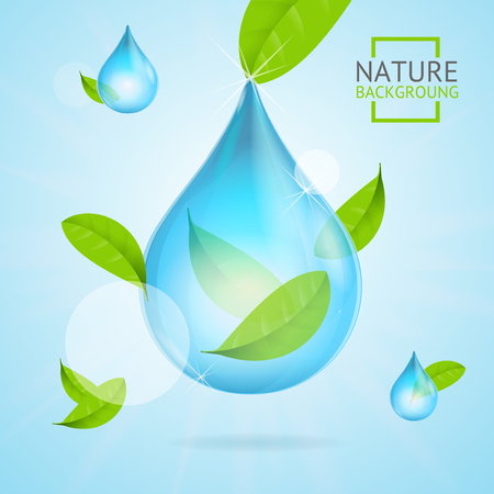 Nature Concept Transparent Purity Drop Water and Fly Green Leaves. Vectorのイラスト素材