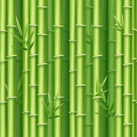 Realistic 3d Detailed Bamboo Shoots Background Traditional East Tropical Green Forest Summer Asian Romantic Garden Concept. Vector illustrationのイラスト素材