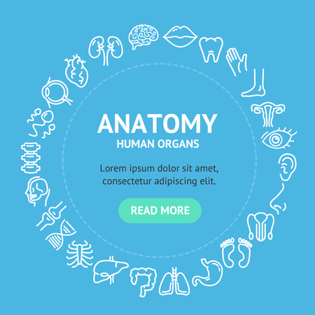 Human Organs Signs Round Design Template Line Icon Concept. Vector illustration.のイラスト素材