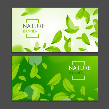 Realistic Fly Green Leaves Flyer Banner Posters Card Set. Vectorのイラスト素材