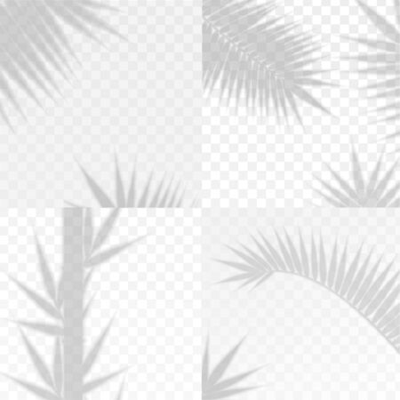 Bamboo and Palm Branches Leaves Overlay Effect Transparent Shadow Set. Vectorのイラスト素材