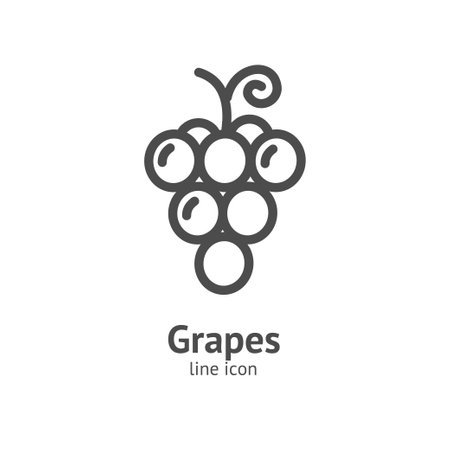 Grapes Berry Black Thin Line Icon Concept. Vectorのイラスト素材