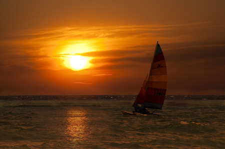 Windsurfing at sunsetのeditorial素材