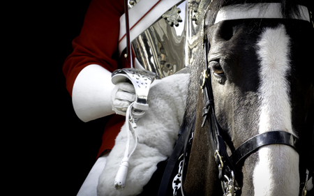 Black horse mounted by a british royal guard in London, Englandのeditorial素材