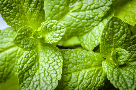 Macro shot of green mint leaves in raw, natural stateの写真素材
