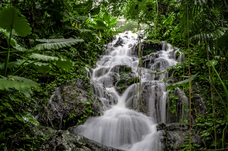 Waterfall in a Mexican tropical rain forest with a stream made to look silky due to the motion blur...