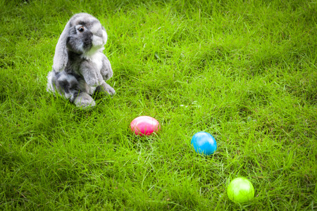 Easter bunny on a easter egg hunt in the middle of a grassy green fieldの写真素材