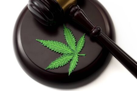 Legal weed, decriminalized pot or felony conviction for possession of a schedule one drug concept theme with a marijuana leaf and a wooden gavel isolated on white backgroundの写真素材