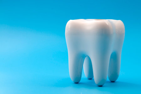 Dental hygiene, cosmetic dentistry and teeth cavity prevention concept with anatomical model of crown or corona of human tooth isolated on blue background with copy spaceの写真素材