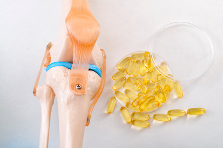 Joint health, healthy omega 3 fatty acids and reduce arthritis inflammation concept with plastic medical teaching model of a human knee and fish oil pills isolated on white backgroundの写真素材