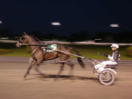 Horse raceの写真素材