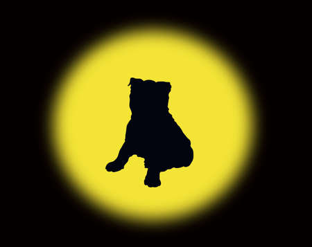 Dog silhouetteの写真素材
