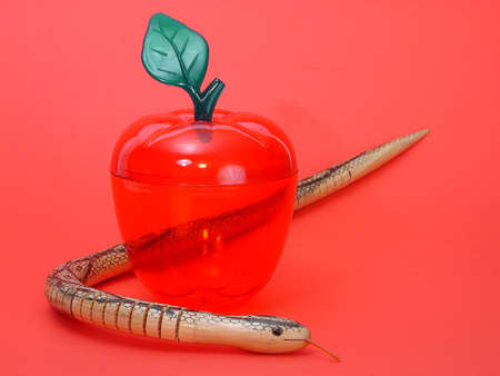   Fake apple and snake on red backgroundの写真素材