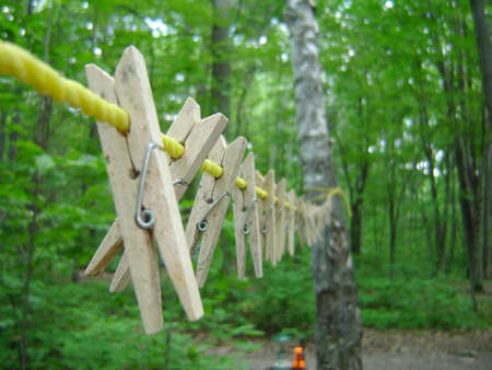  clothes pin in forestの写真素材