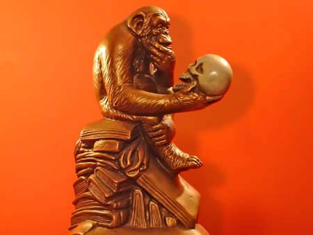 Monkey sitting on a pile of booksの写真素材