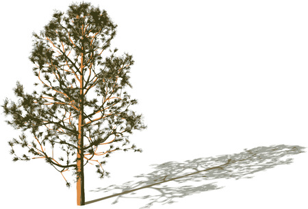 Silhouette tree with shadow.のイラスト素材