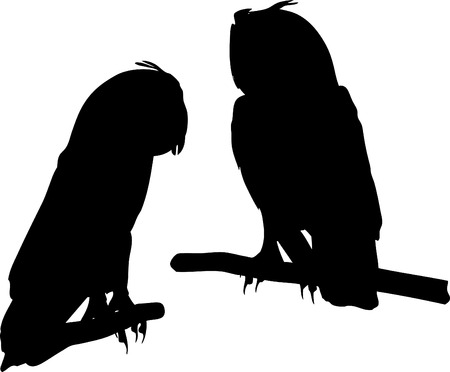 Owl on branch.のイラスト素材