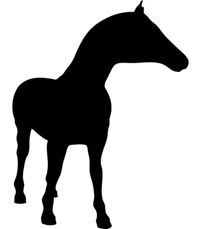 One horse isolated on white background.のイラスト素材