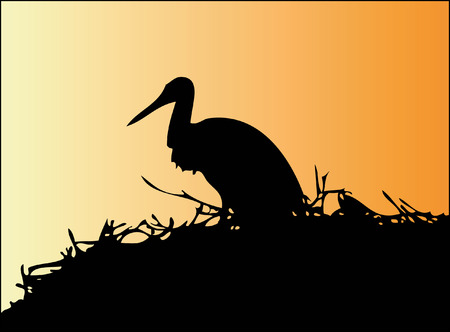 Silhouette Stork (Ciconia) のイラスト素材