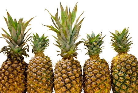 	Five pineapples isolated on white background.