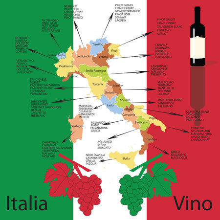 Editable italian wine mapのイラスト素材