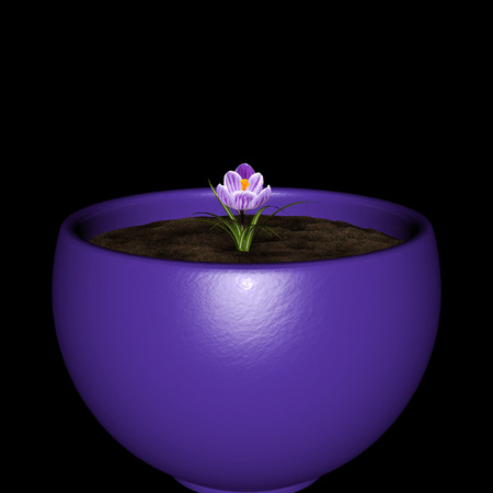 Early Spring.の写真素材