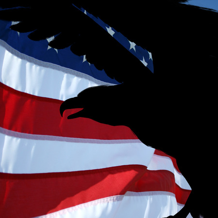 usa flag and silhouette eagle profil.の写真素材