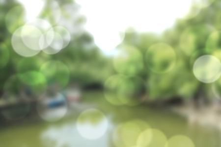 Blur natural and light background the parkの写真素材