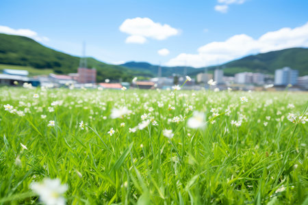 Close up spring grass field with sunlight bokeh background, Generative AI illustrationの素材